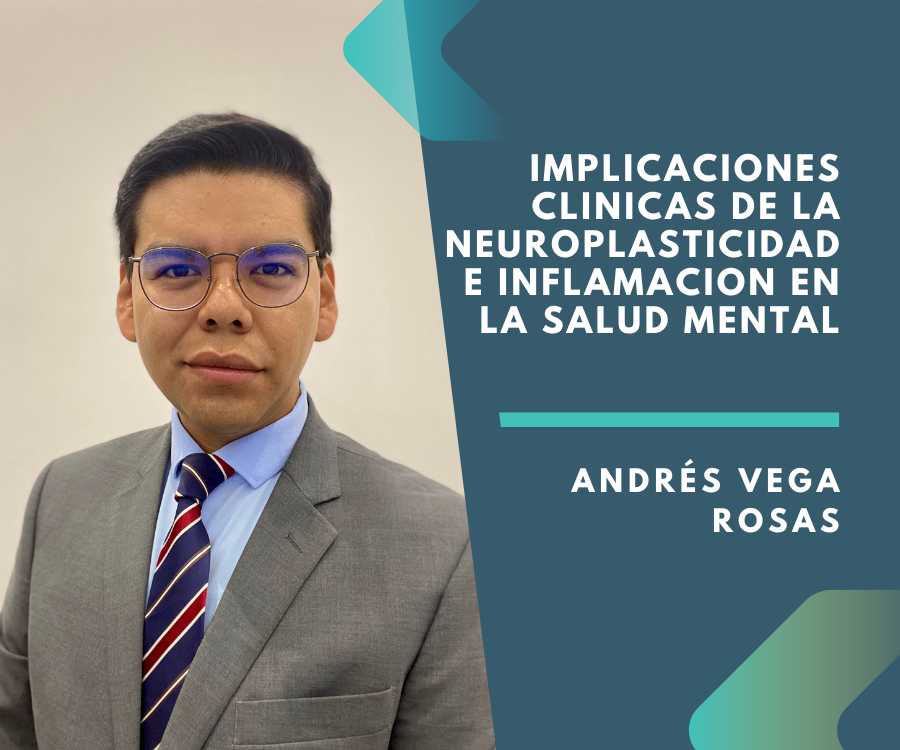 Cómo cambia el cerebro: neuroplasticidad, inflamación y salud mental