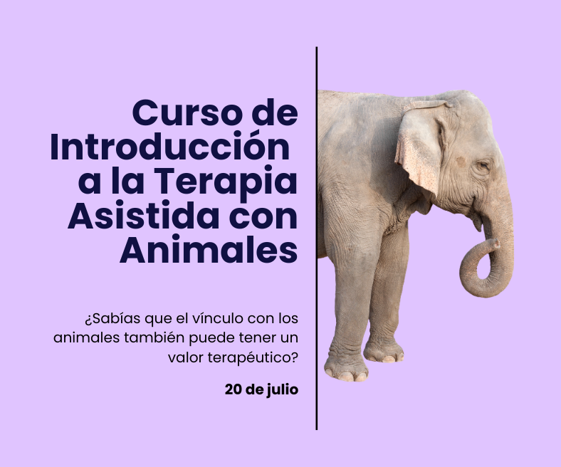 Terapia asistida con animales: Nuevo curso de AEPSIS